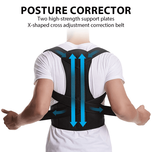 Back support posture belt